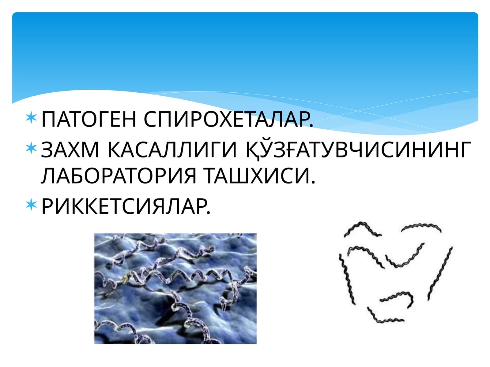 СПИРОХЕТАЛАР
