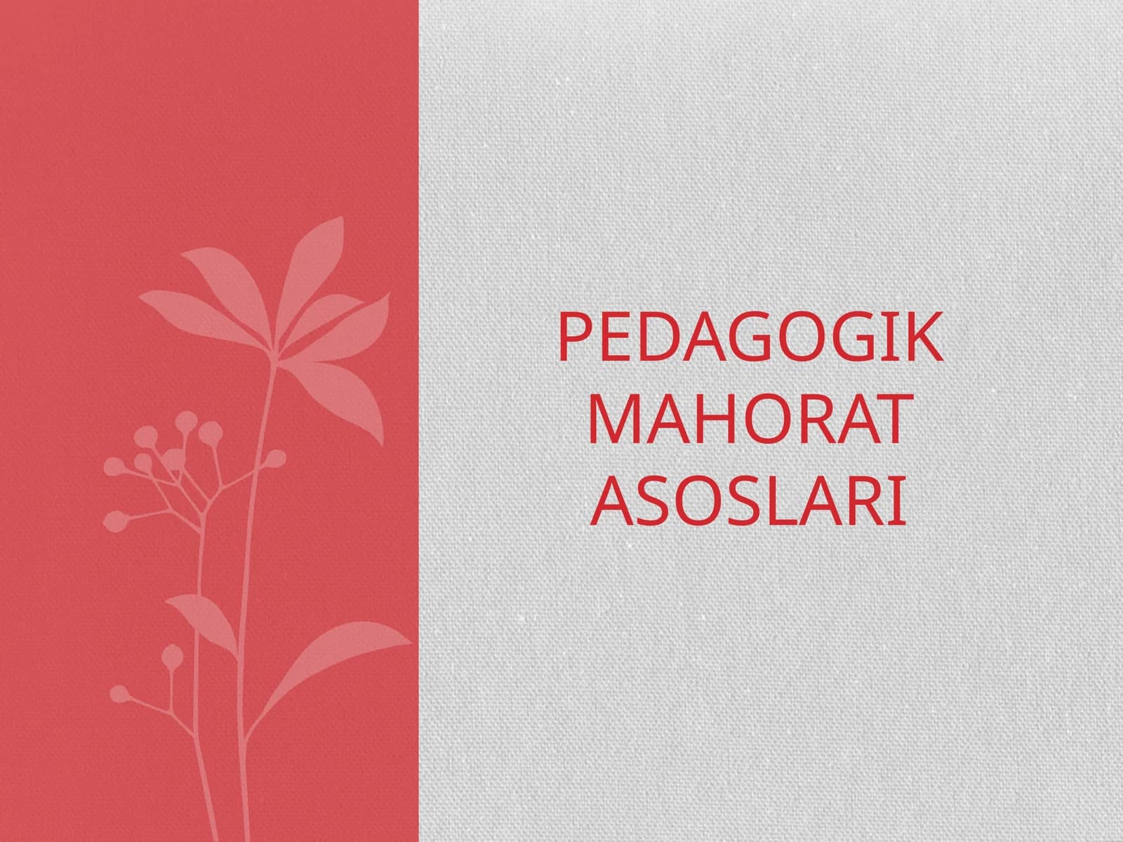 Pedagogik mahorat asoslari