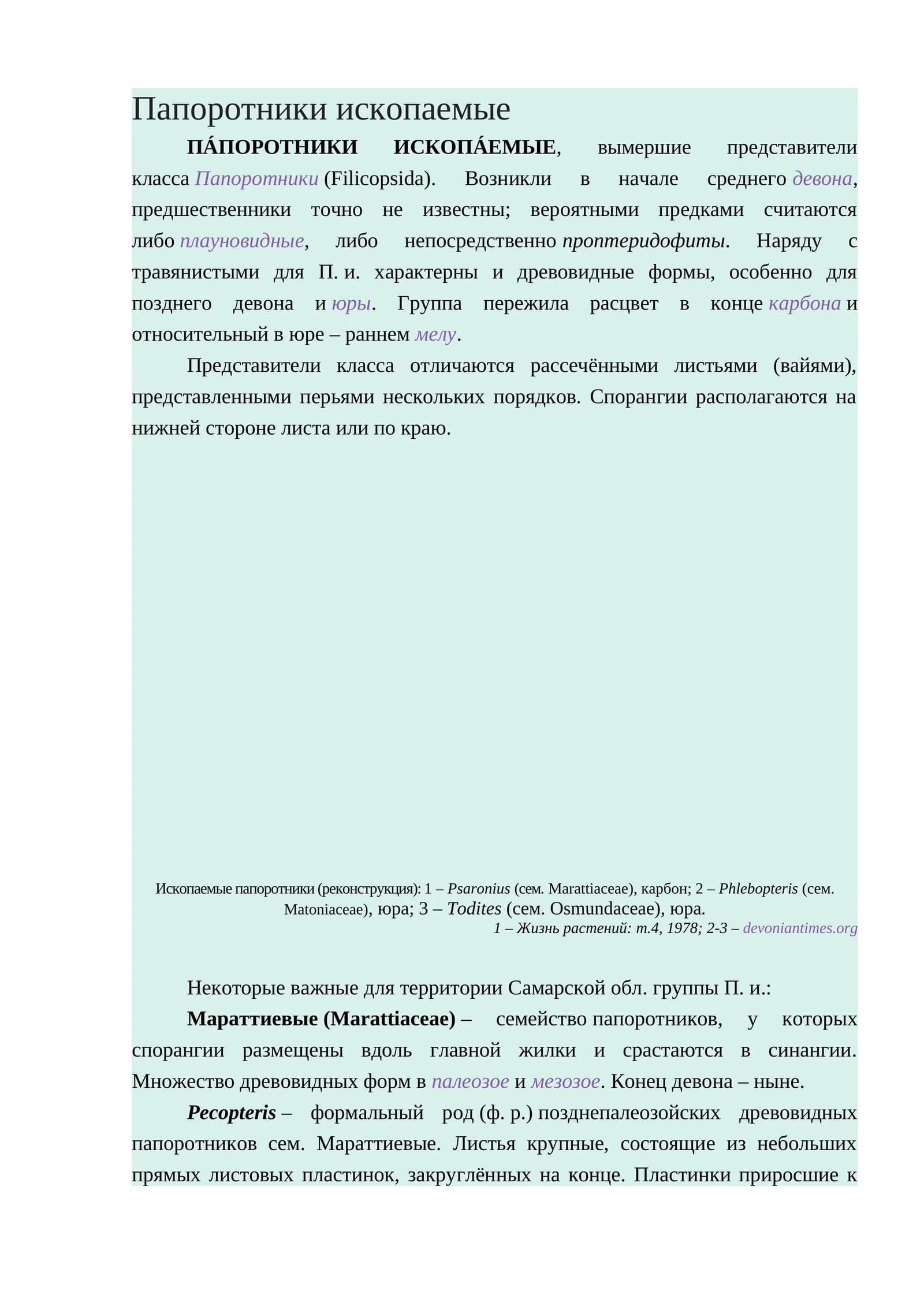 Папоротники ископаемые