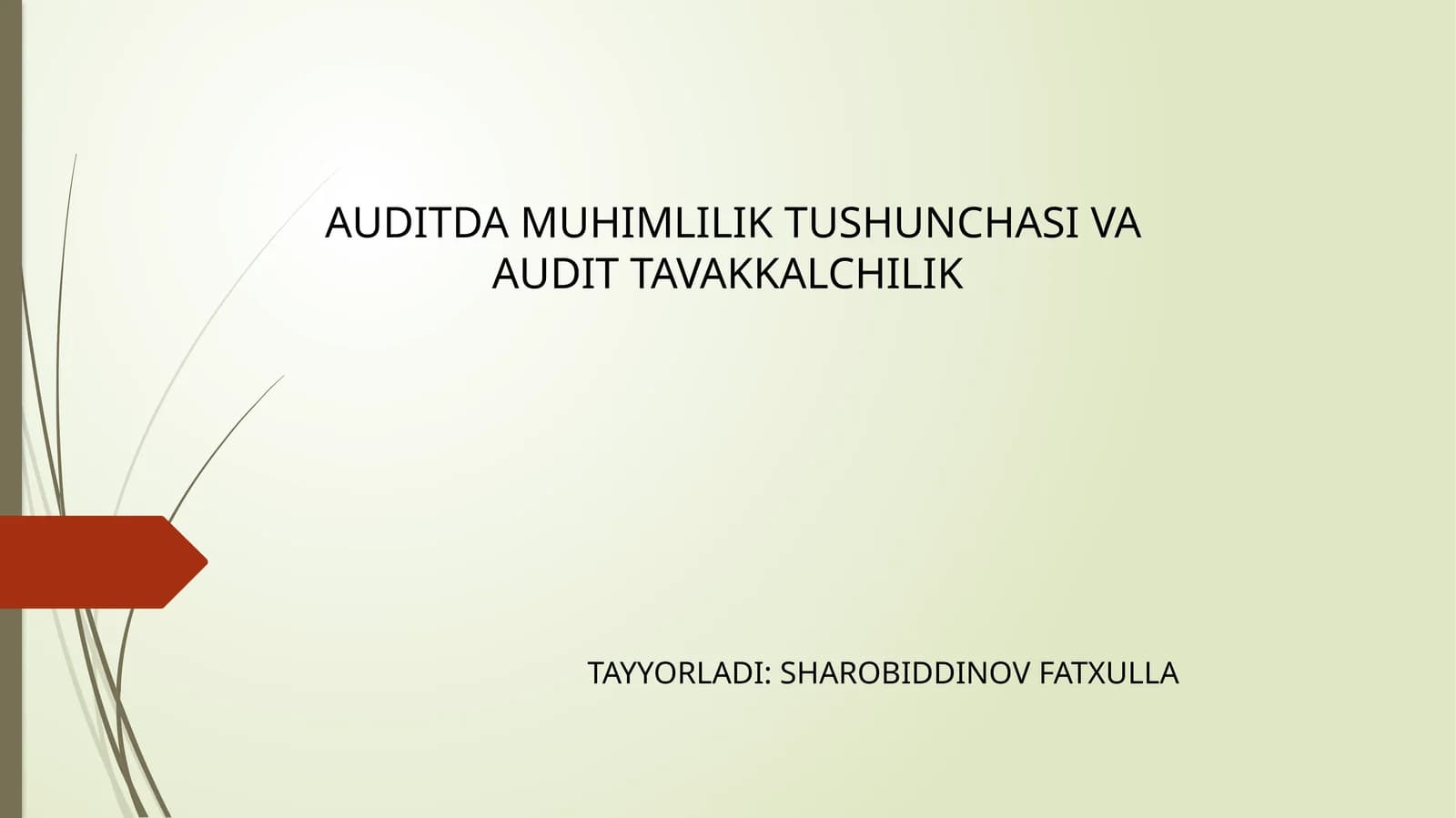 AUDITDAMUHIMLILIK TUSHUNCHASI VA AUDIT TAVAKKALCHILIK