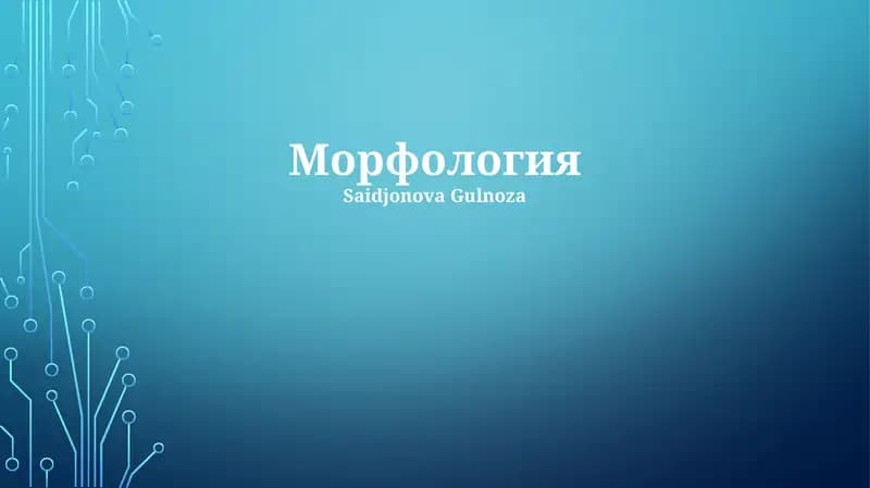 Морфология