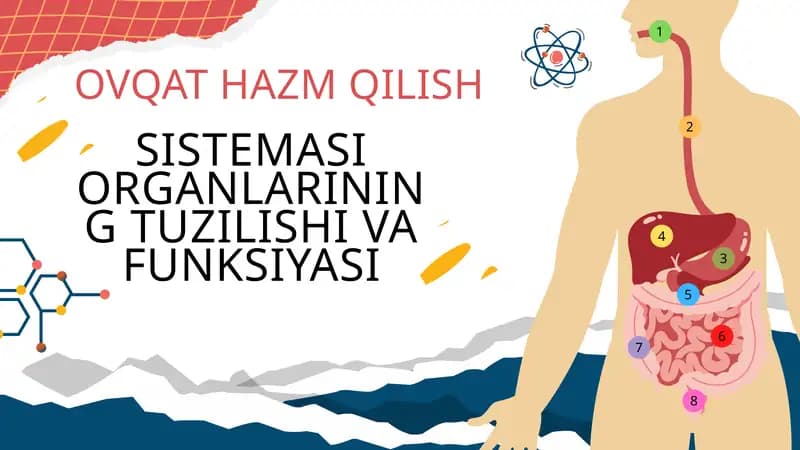 Ovqat hazm qilish sistemasi