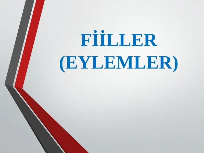 Fiiller(Eylemler)