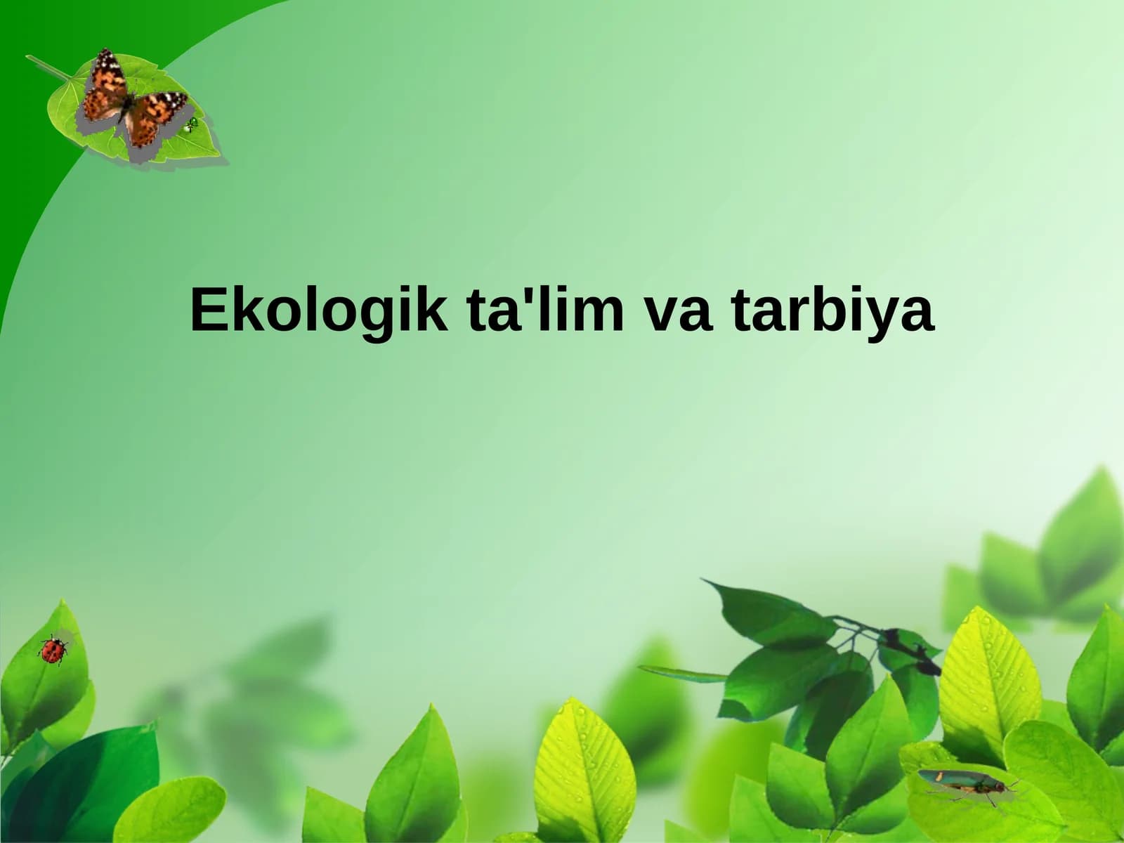 Ekologik ta'lim va tarbiya