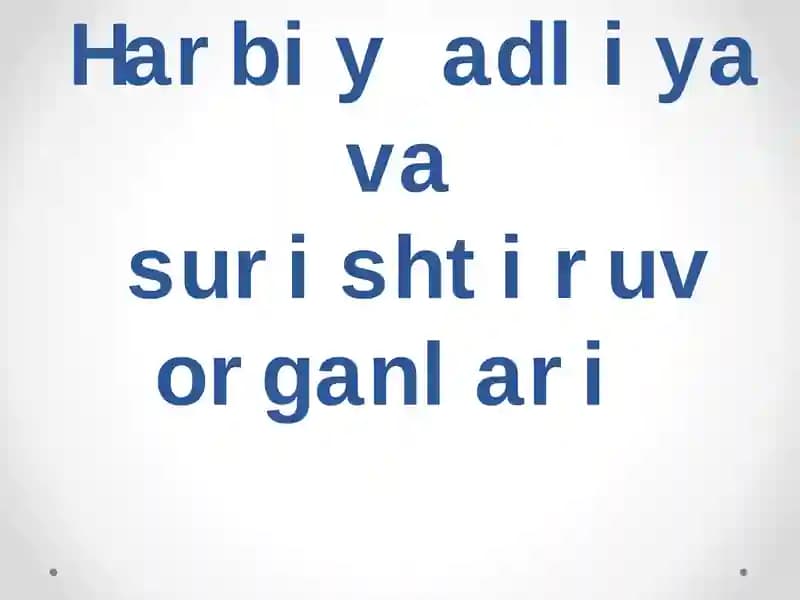 Harbiy adliya va surishtiruv organlari