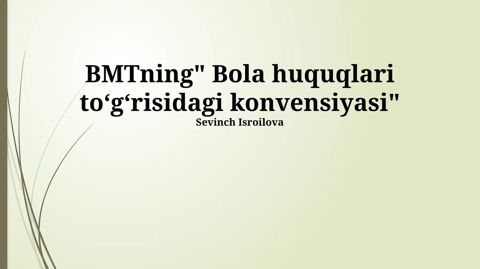 Bola huquqlari toʻgʻrisidagi konvensiyasi