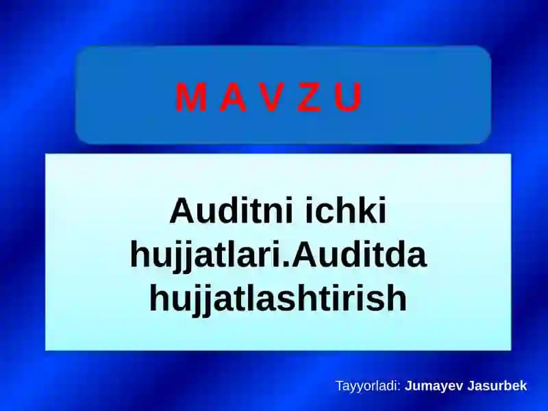 Auditni ichki hujjatlari