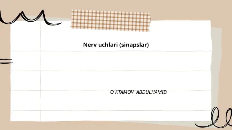 Nerv uchlari (sinapslar)