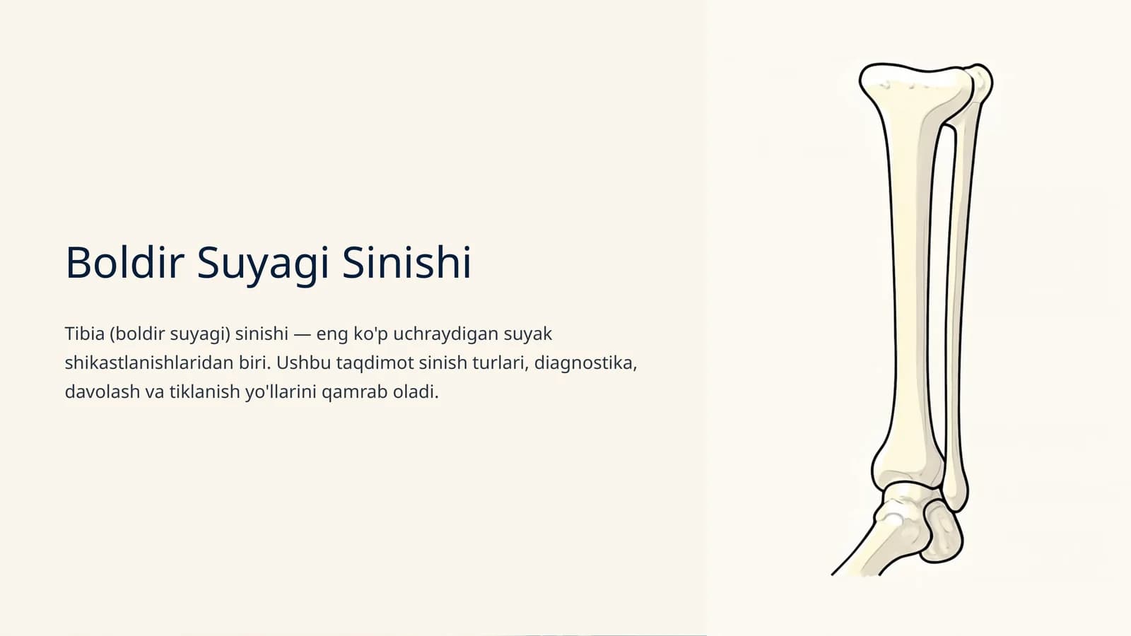 Boldir Suyagi Sinishi