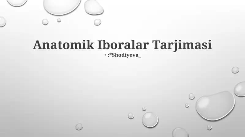 Anatomik Iboralar Tarjimasi