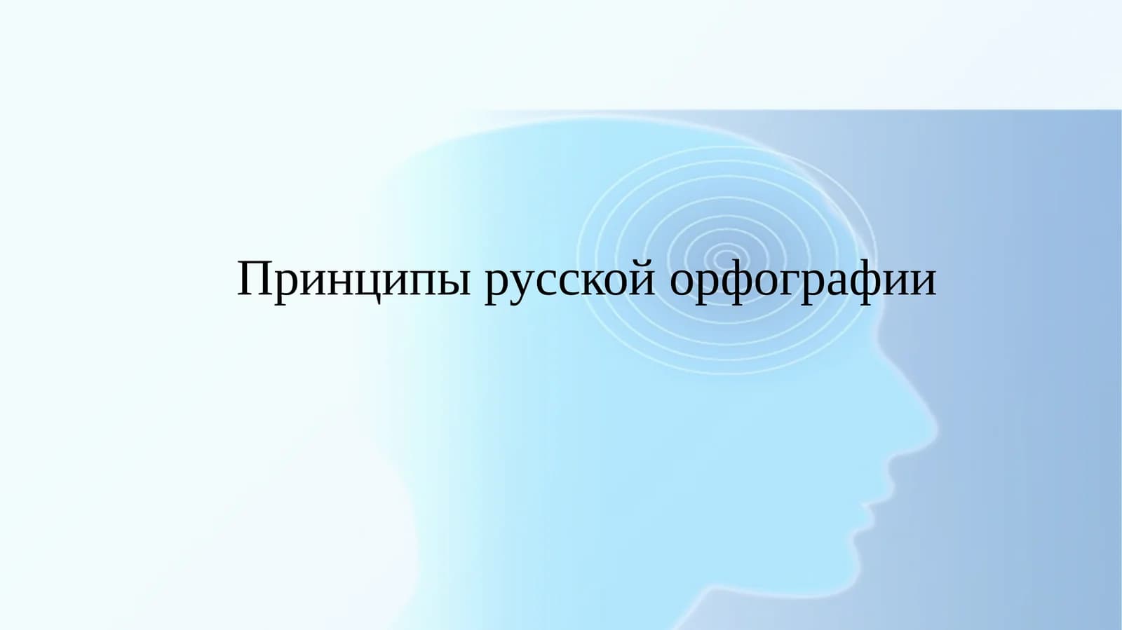 Принципы русской орфографии