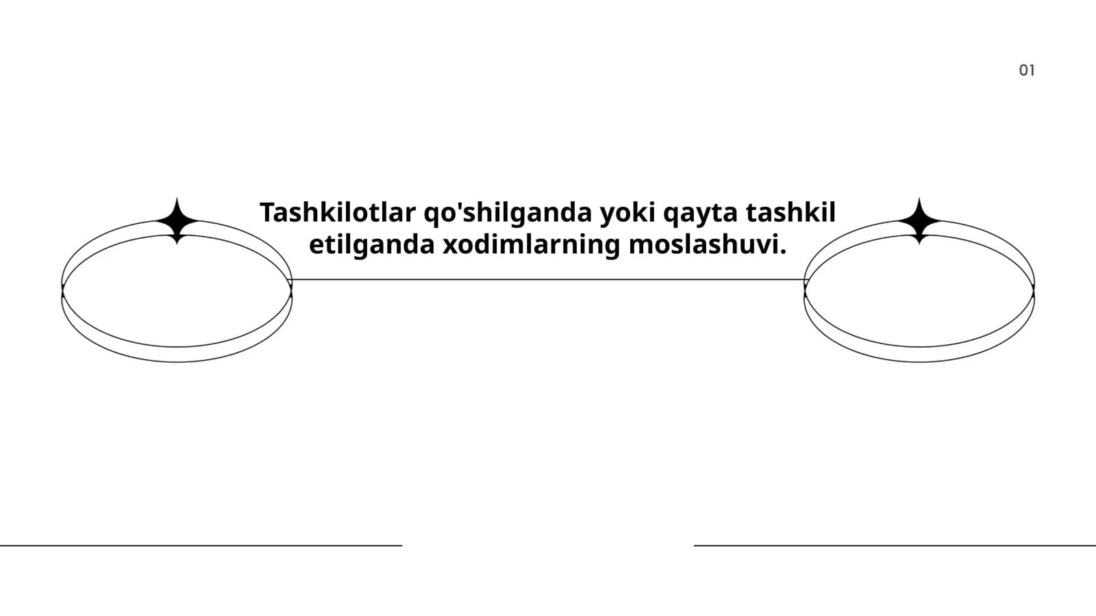 Tashkilot madaniyatining moslashuvi
