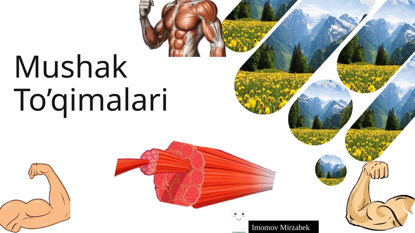 mushak to'qimasi