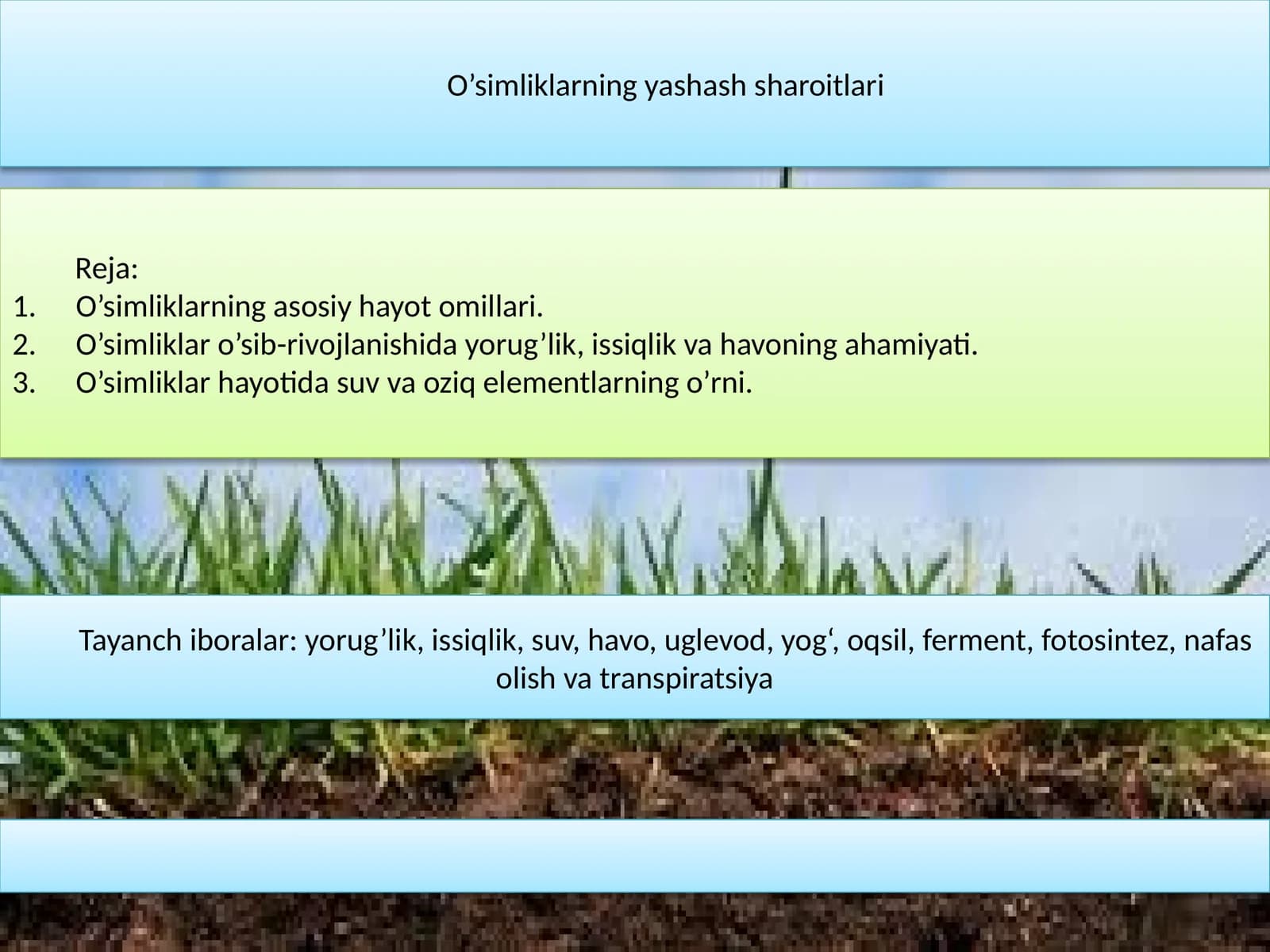 O’simliklarning yashash sharoitlari