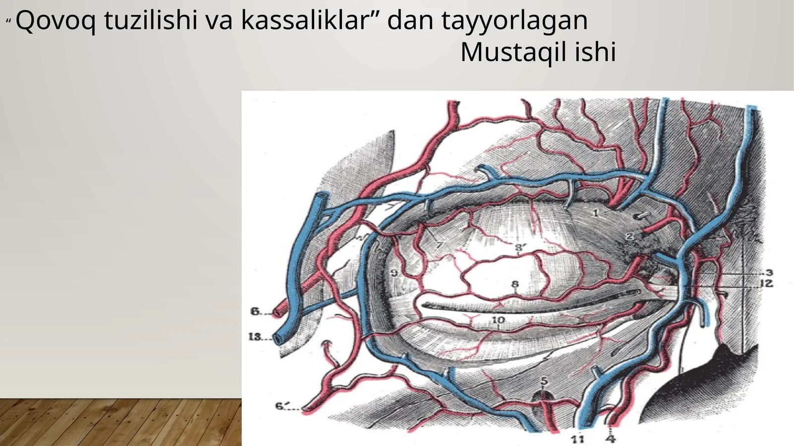 Qovoq tuzilishi va kassaliklar