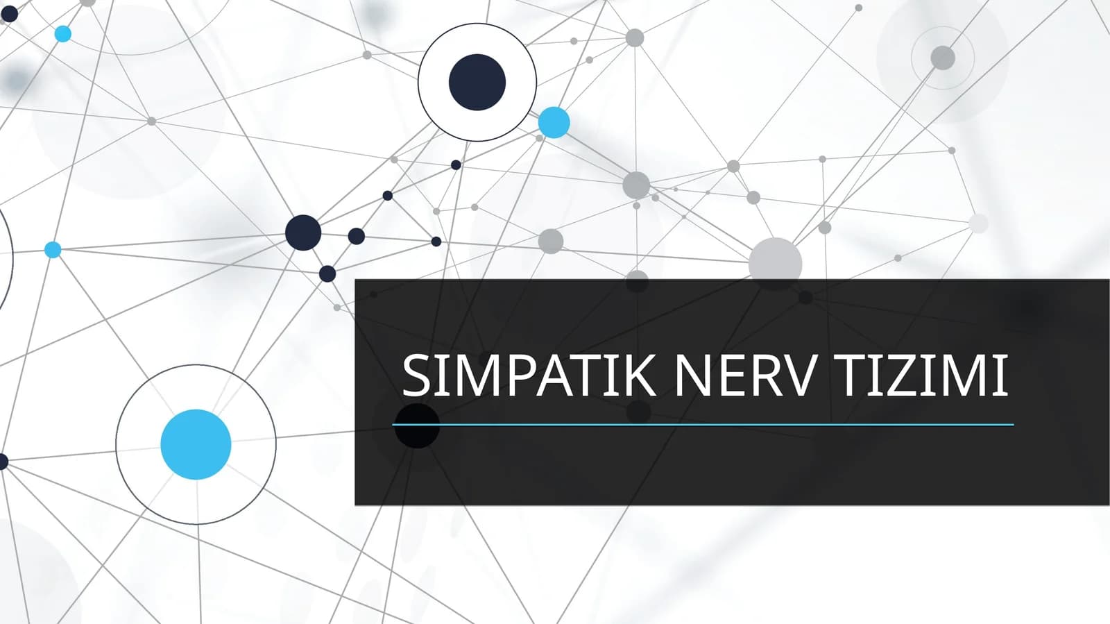 SIMPATIK NERV TIZIMI
