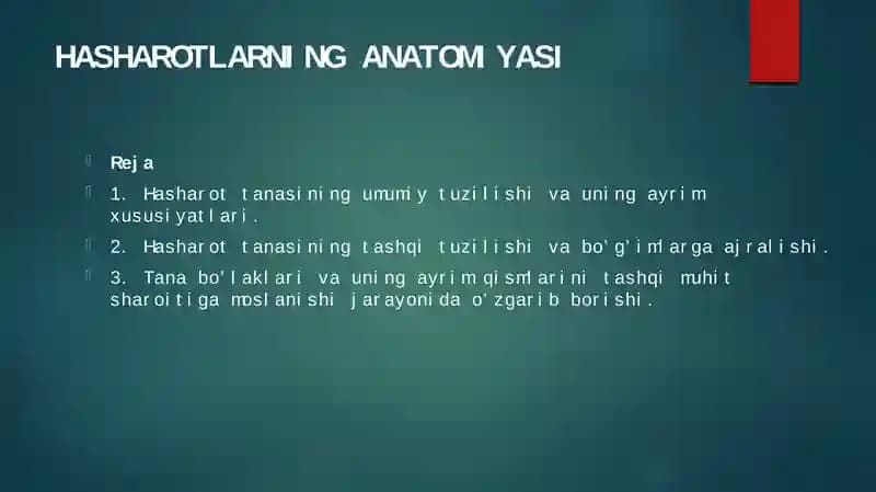 hasharotlarninganatomiyasi
