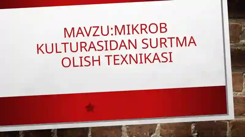 mustaqil ish mikrobiologiya