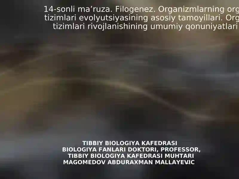 14-sonli ma’ruza