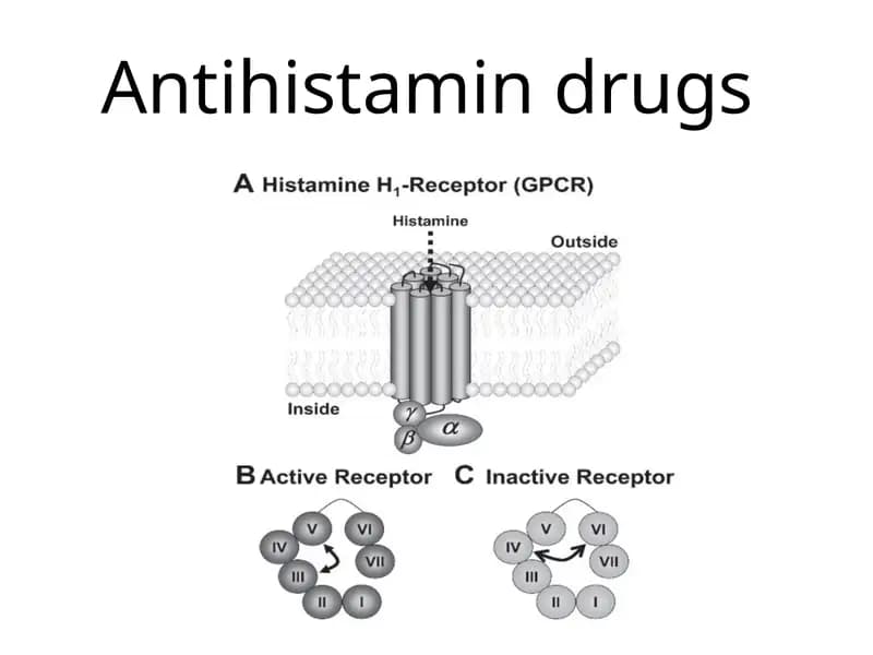 Antigistamin Dori vositalari farmakologiyasi