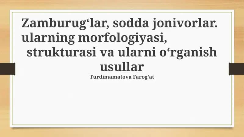 Zamburug‘lar, sodda jonivorlar