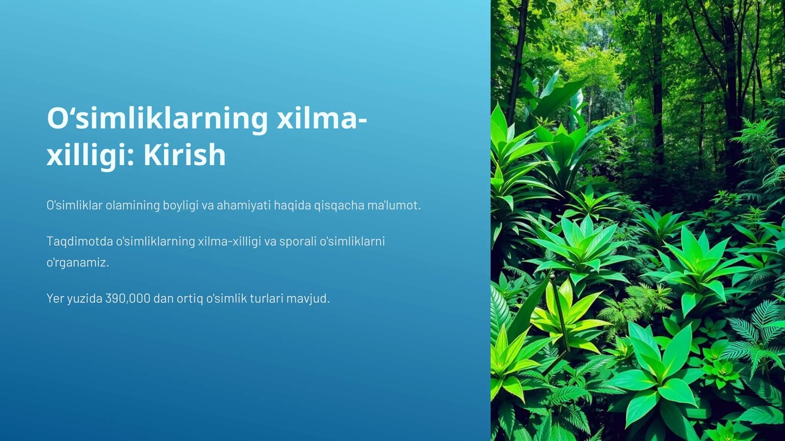 O‘simliklarning xilma-xilligi: Kirish