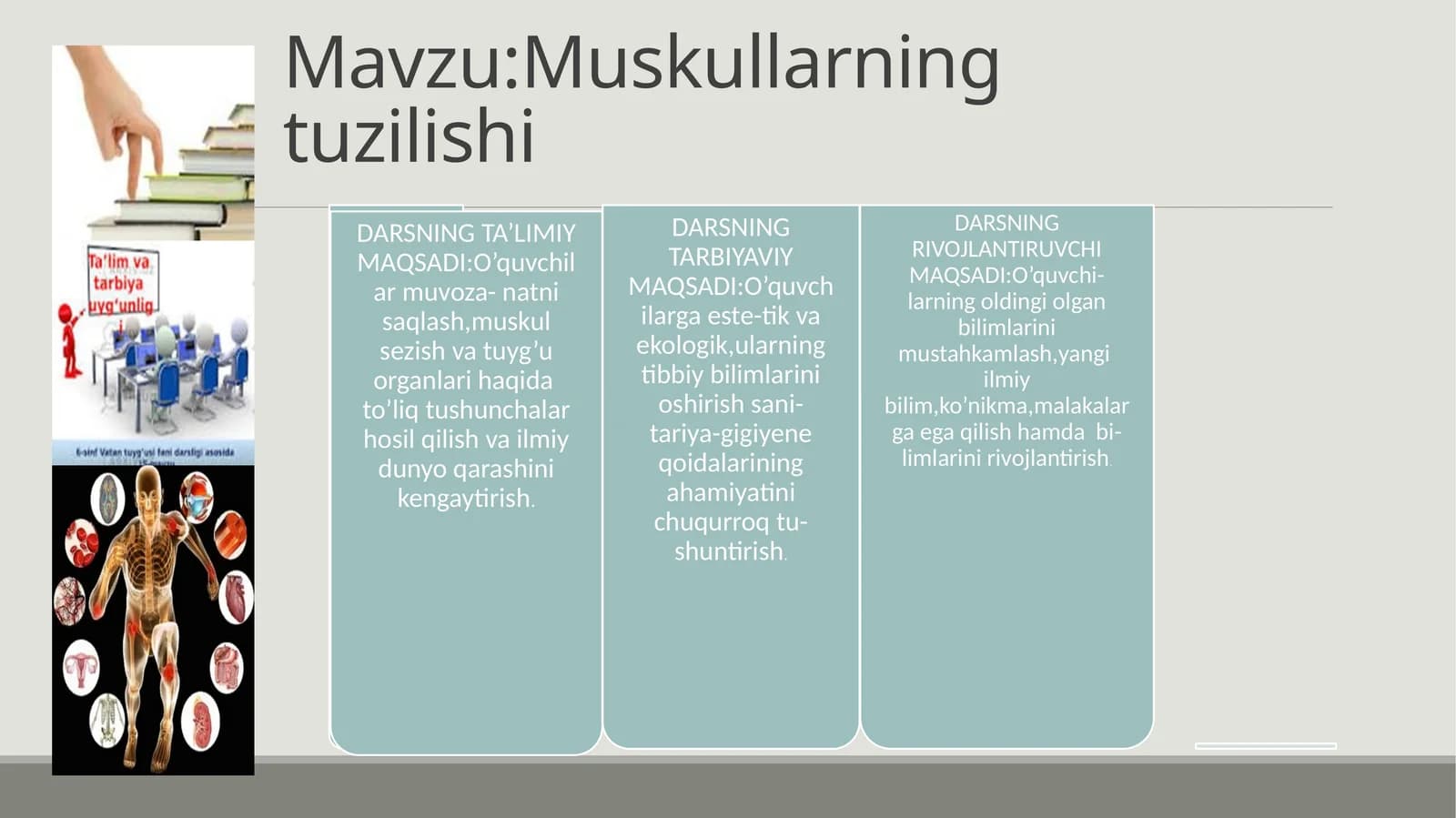 Muskullarning tuzilishi