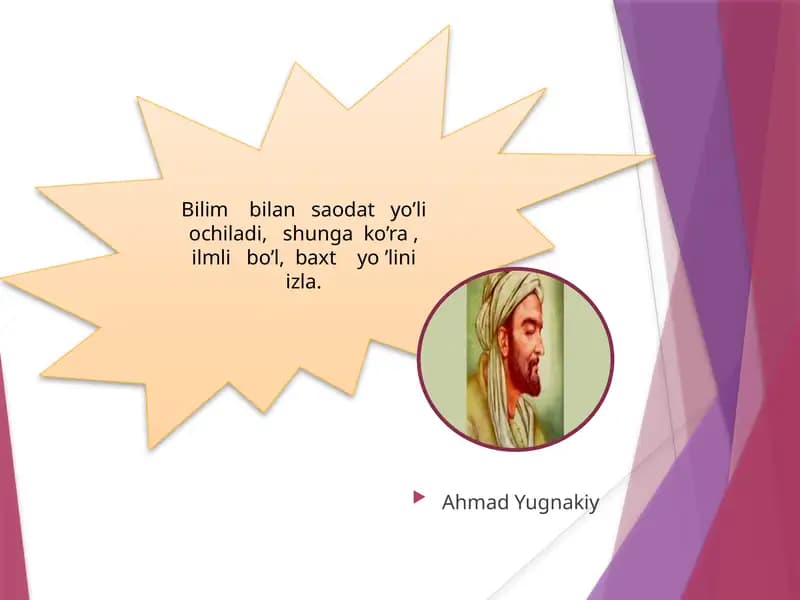 Umurtqasizlarning qon aylanish sistemasi
