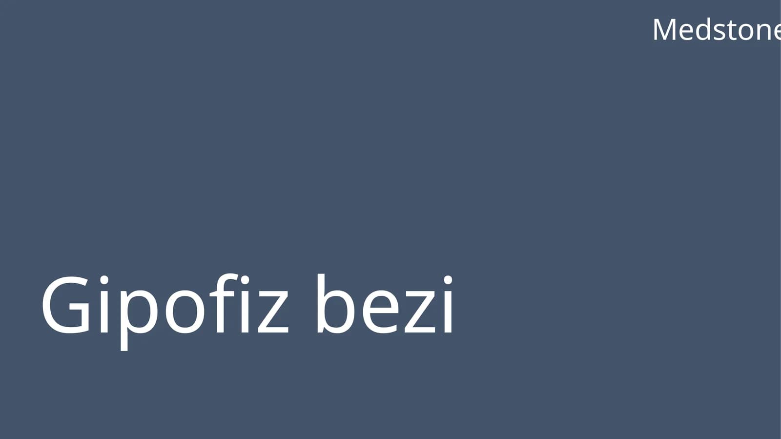 Gipofizbezi, Medstone, GIPOFIZ BEZI