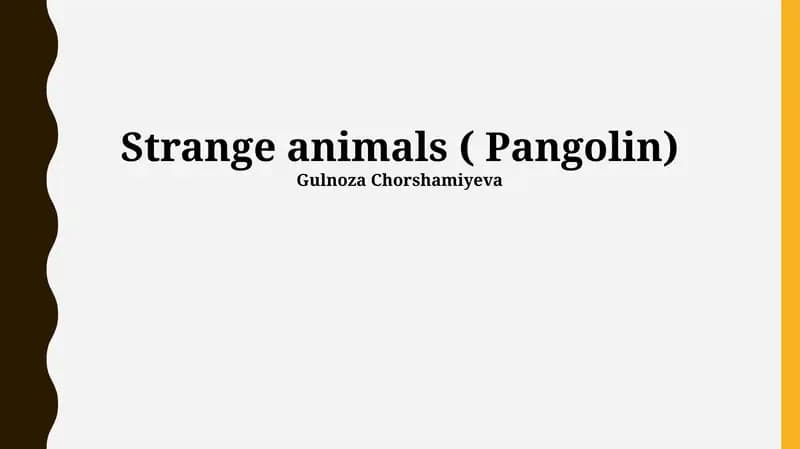 Pangolin
