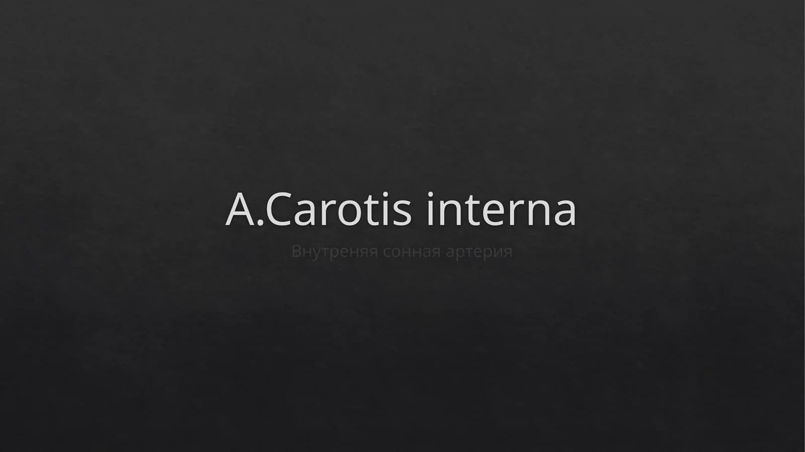 A.Carotisinterna