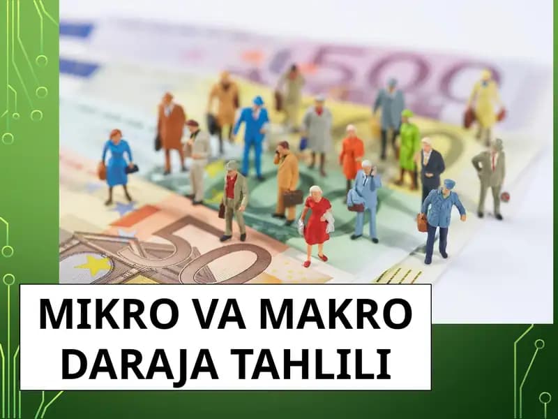 MIKRO VA MAKRO DARAJA TAHLILI