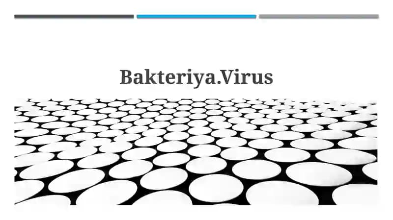 Bakteriya.Virus