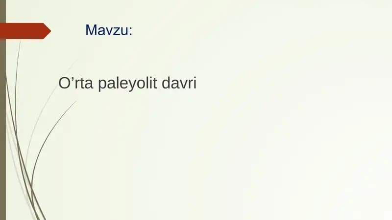 O’rta paleyolit davri