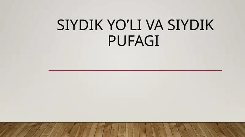Siydik yo’li va siydik pufagi
