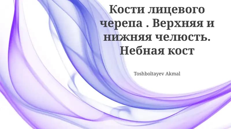 Нижняя челюсть (Mandible)
