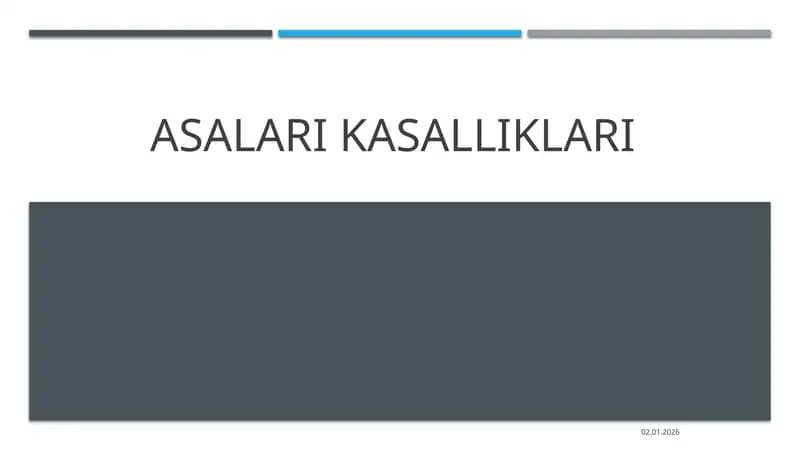 Asalarikasalliklari