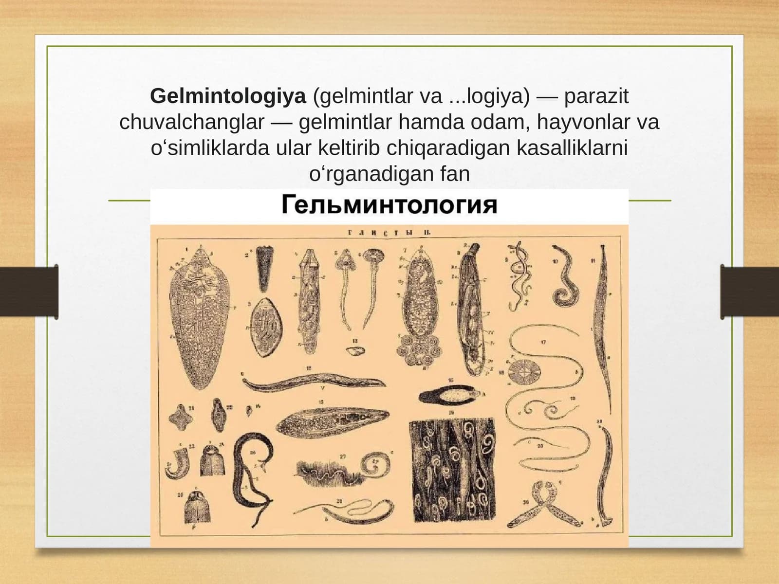Gelmintologiya