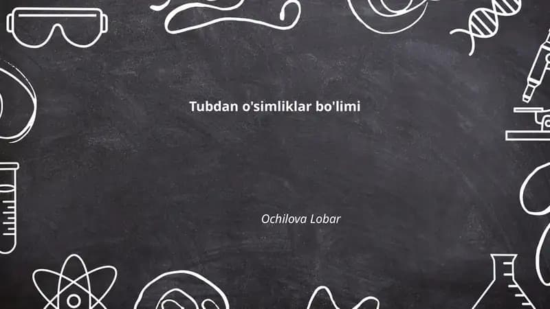 Tubdan o'simliklar bo'limi