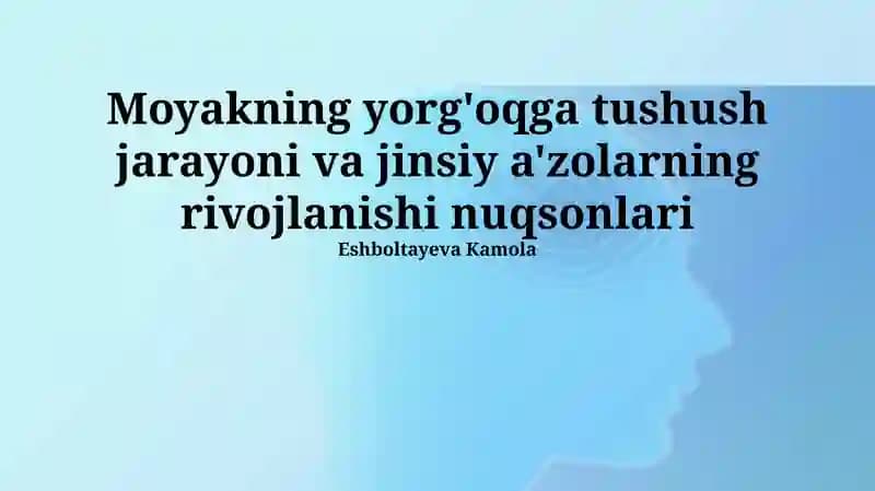 Moyakning yorg'oqga tushishi jarayoni