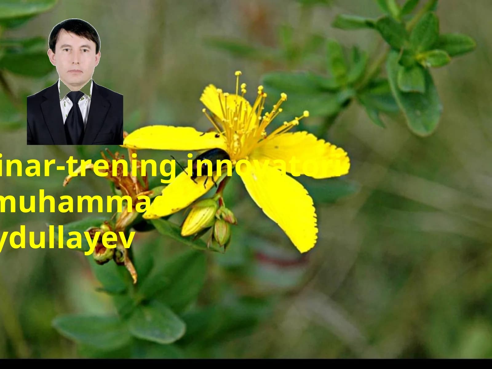 Sayfi Saroyining g`azallari