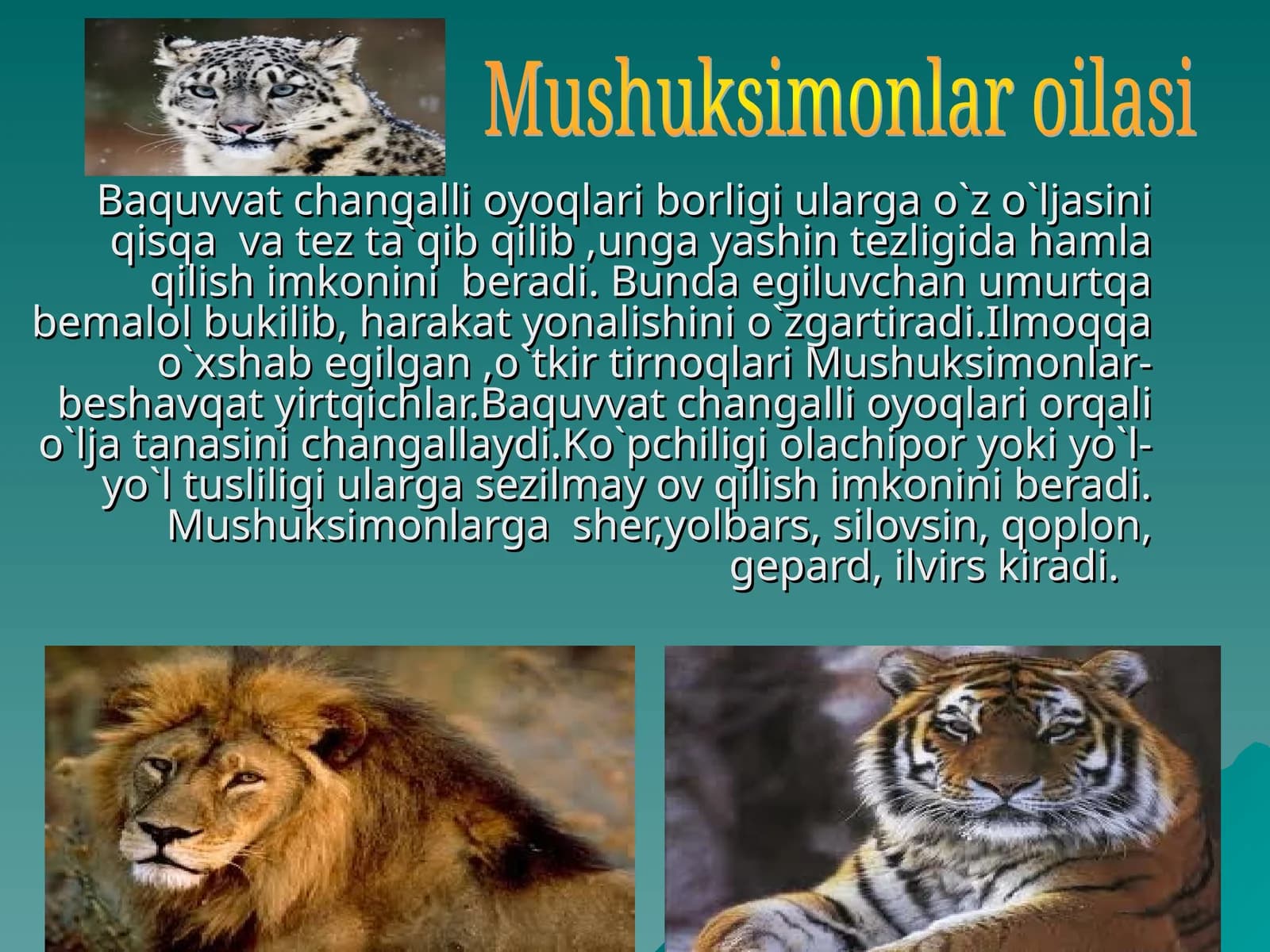 Baquvvat changalli oyoqlari