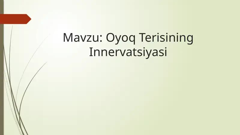 Oyoq Terisining Innervatsiyasi