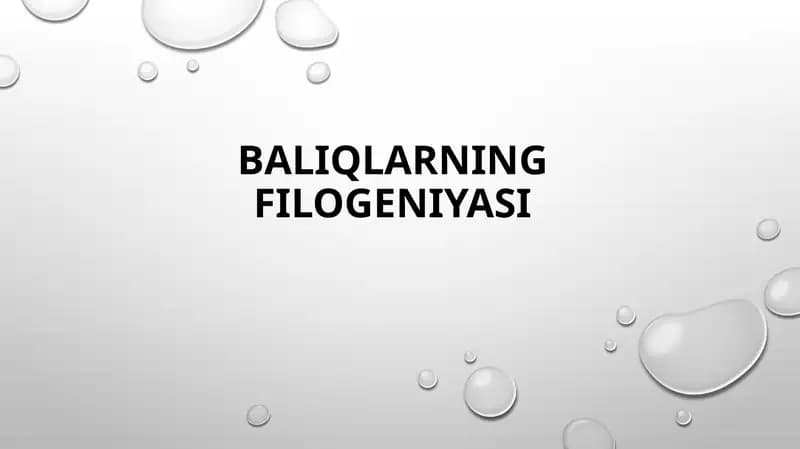 Baliqlarning Filogeniyasi