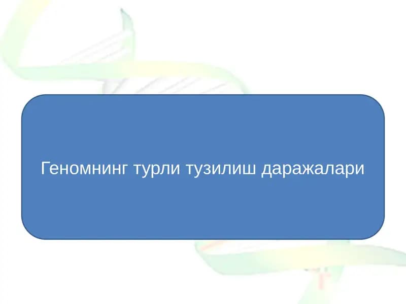 Геномнинг турли тузилиш даражалари