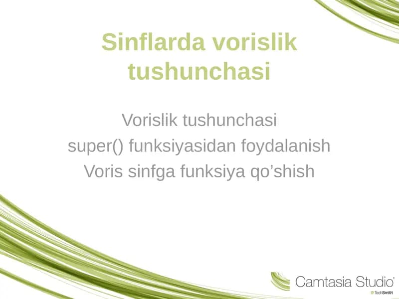 Sinflarda vorislik tushunchasi