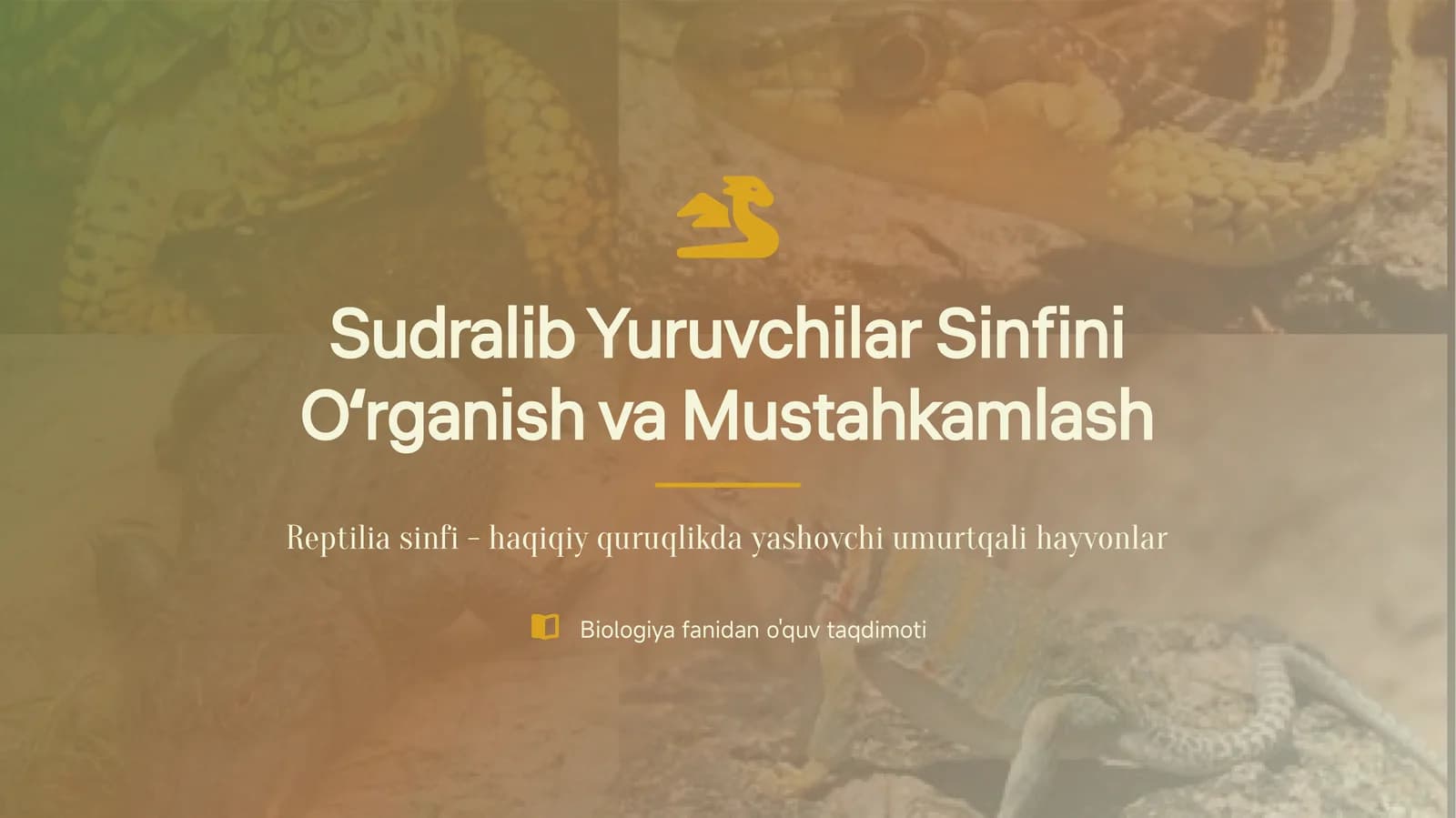 Sudralib Yuruvchilar Sinfini