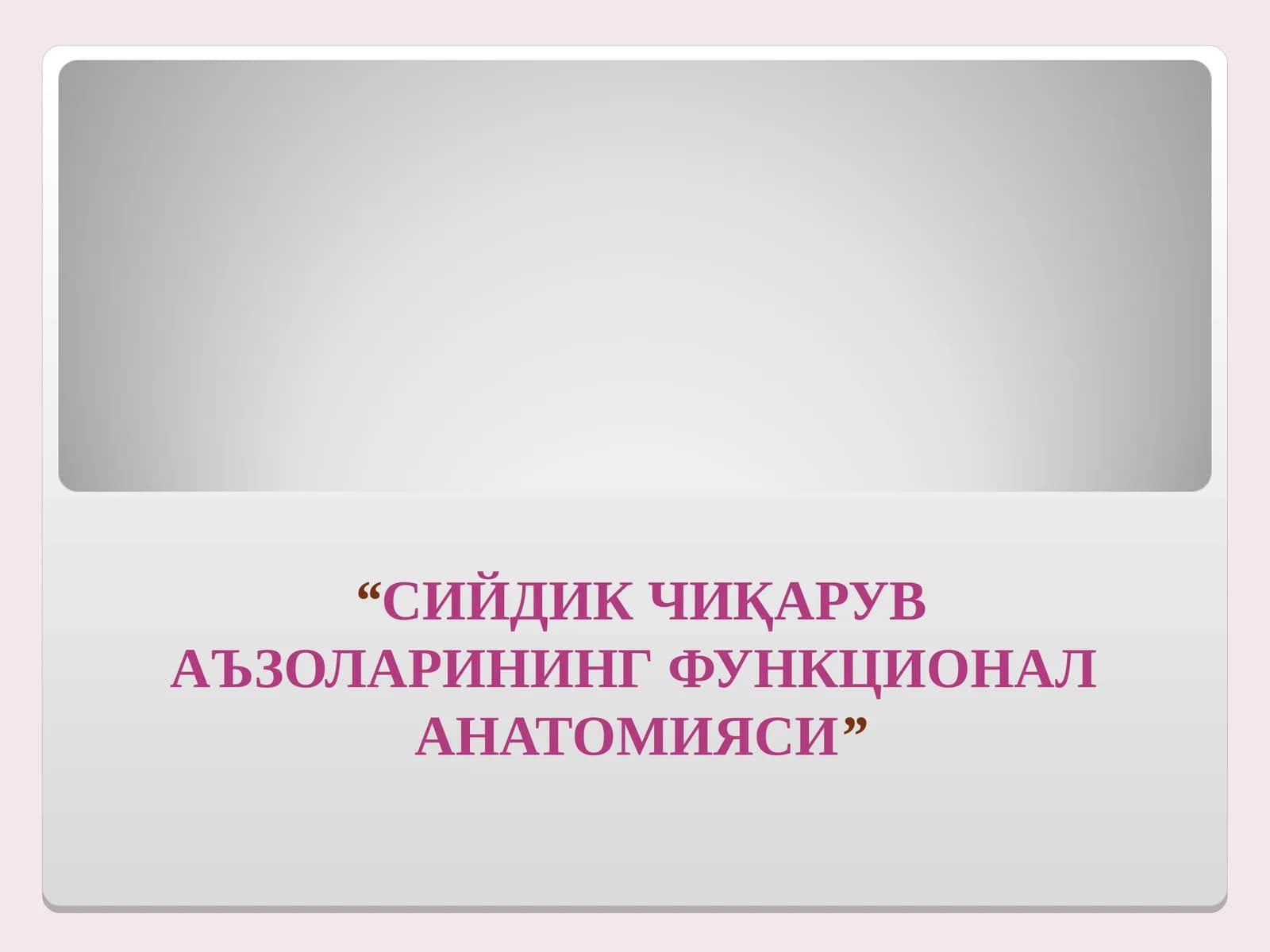 СИЙДИК ЧИҚАРУВ АЪЗОЛАРИНИНГ ФУНКЦИОНАЛ АНАТОМИЯСИ