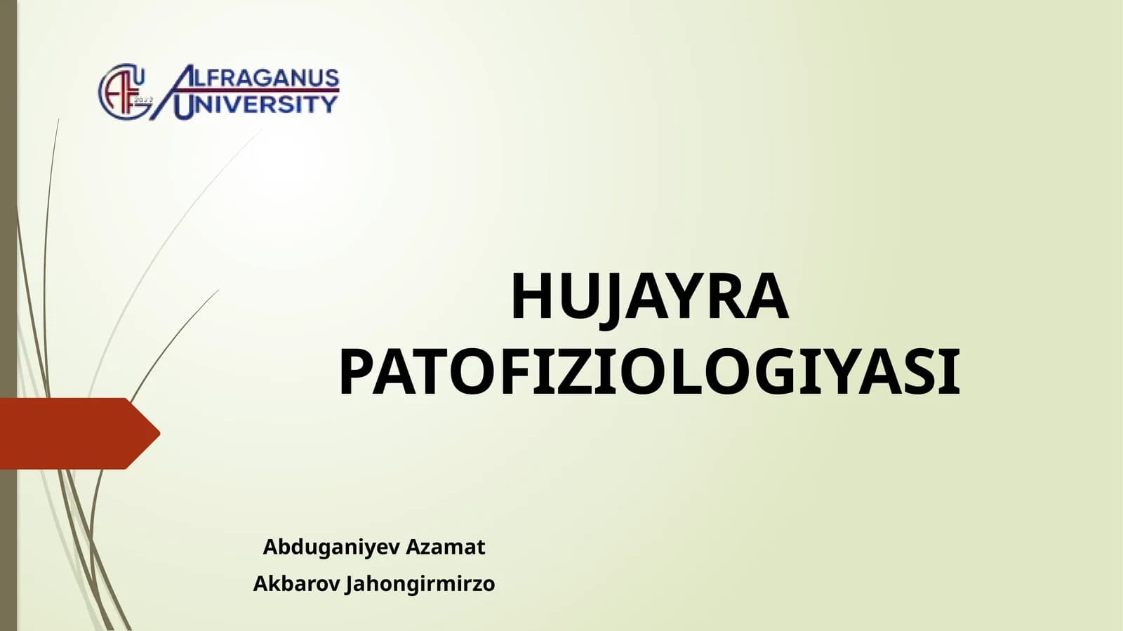 HUJAYRA PATOFIZIOLOGIYASI