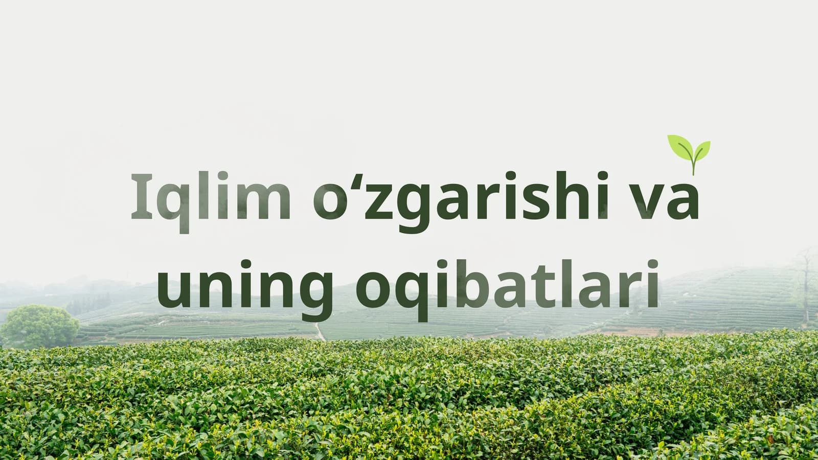 Iqlim o‘zgarishi va uning oqibatlari